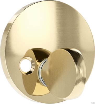 Serrure Laiton Brossé TS 1