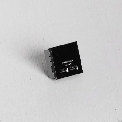 Module de prises USB doubles pour plaque européenne noire, norme britannique