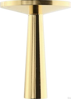 Bouton de meuble TS 1 Laiton brossé (2 pièces)
