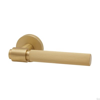 Poignée de porte Helix Stripe 200 Or Brossé