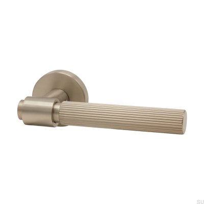 Poignée de porte Helix Stripe 200 Argent Brossé