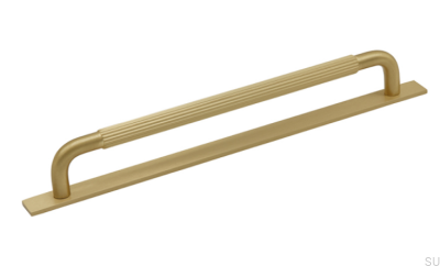 Poignée de meuble allongée avec rondelle Helix Stripe 224 Gold Brushed