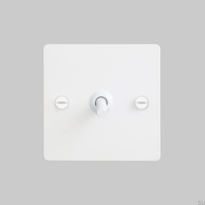 Interrupteur simple Cross 1G en acier blanc, norme britannique