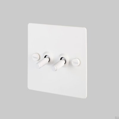 Interrupteur double croix 2G en acier blanc, norme britannique
