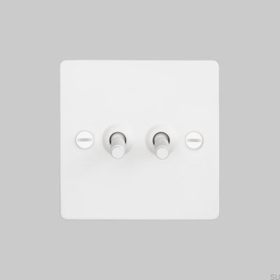 Interrupteur double croix 2G en acier blanc, norme britannique