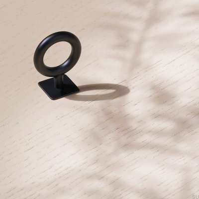 Bouton De Meuble, Métal, Clé, Noir