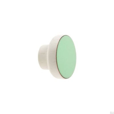 Bouton de meuble Simple Blanc 40 Bois Email Menthe