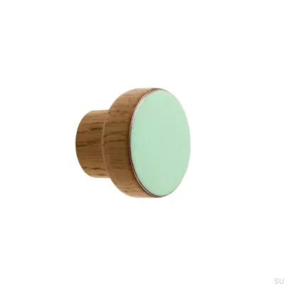 Bouton de meuble Simple Bois Émaillé Menthe Incolore Huile semi-mate