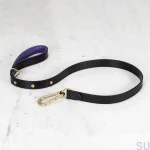 BusterPunch_Dog_Lead_Brass_Large-scaled.webp