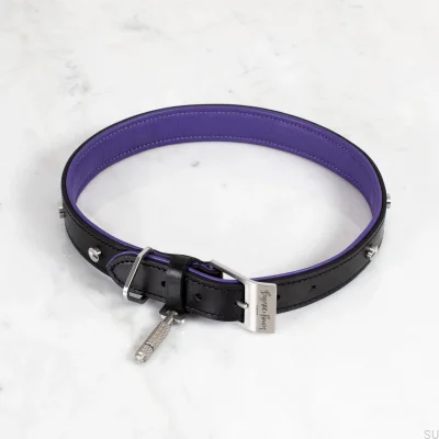S Collier pour chien en cuir et acier
