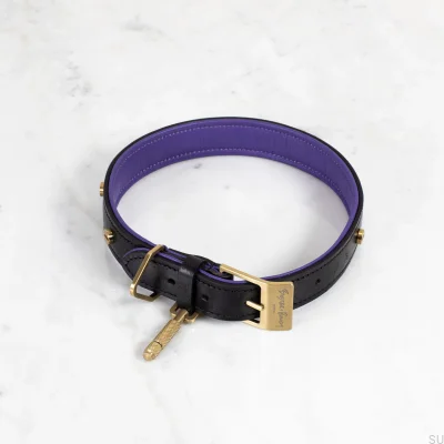 Collier de chien en cuir doré M