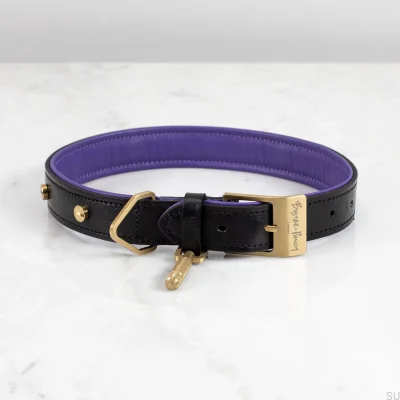 Collier de chien doré en cuir S