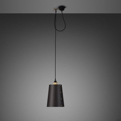 Plafonnier 1.0 à crochet L 2 m Acier graphite avec laiton