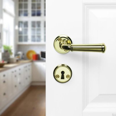Poignée de porte Hampton en or poli, style scandinave standard