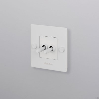 Interrupteur double tout-en-un Cross 1G, acier blanc, norme européenne