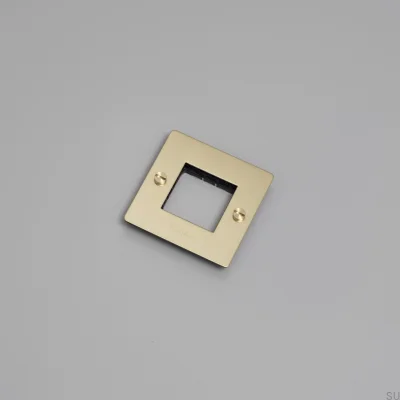 Cadre sans remplissage avec logo Plaque 1G Laiton Norme Européenne