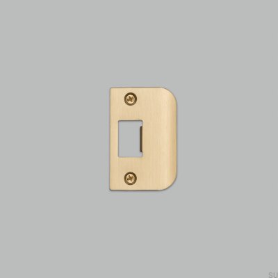 Gâche pour portes standard type D Gâche en laiton