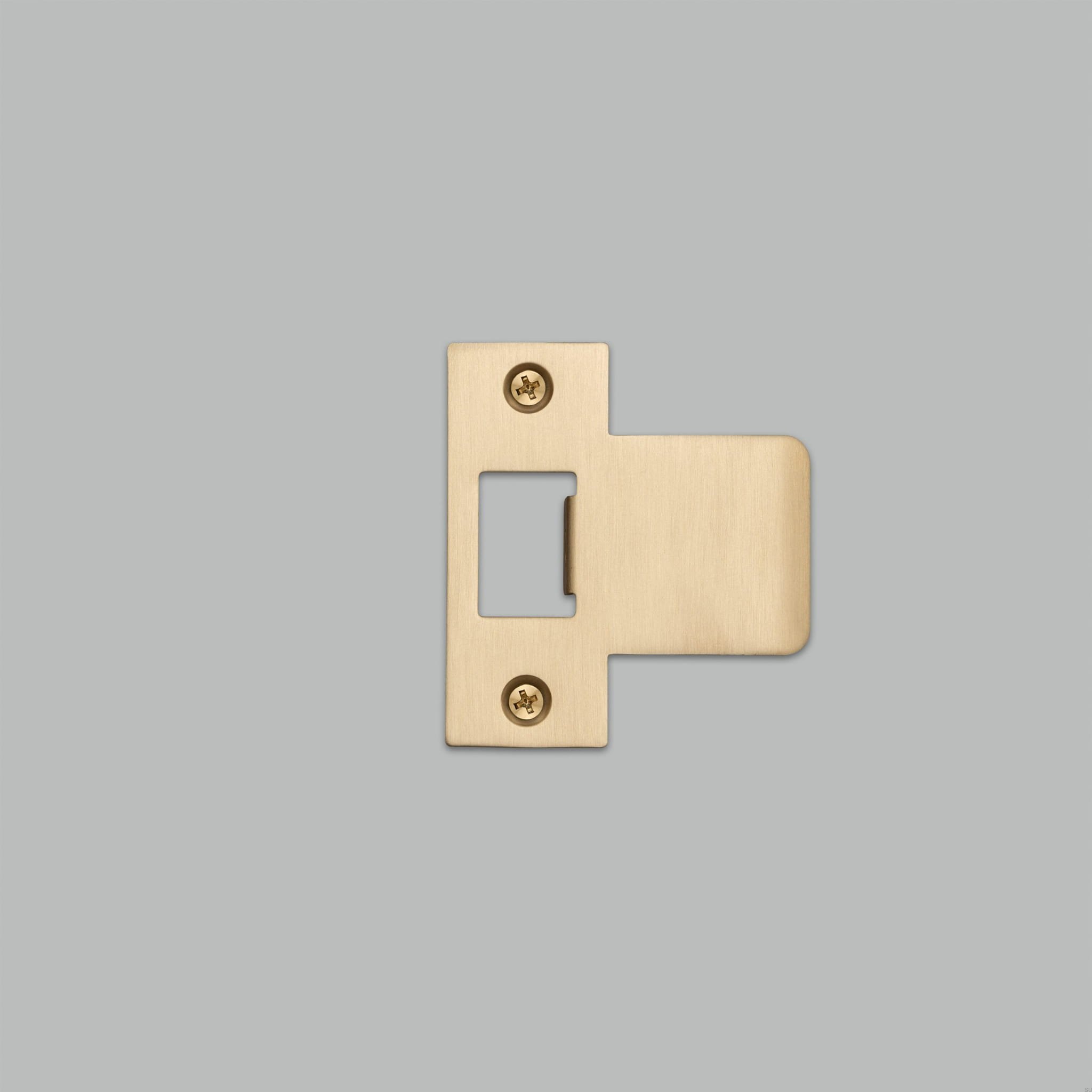 Strike_Plate_3_Inch_Brass_web-scaled.jpg