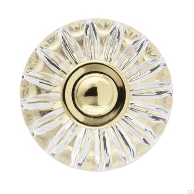 Bouton de meuble H119 Plastique Or