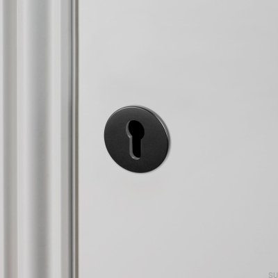 Panneau cylindrique Euro 35 mm en acier noir, norme britannique
