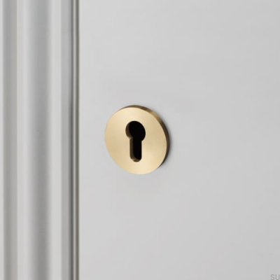 Panneau cylindrique Euro 27 mm en laiton standard scandinave