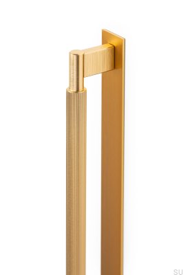 Poignée de meuble longitudinale avec Arpa Plate 1178, Aluminium, Doré, Brossé
