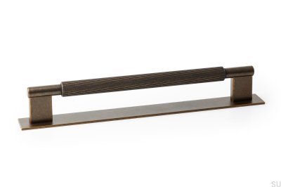 Poignée de meuble allongée avec rondelle Arpa Plate 192 Aluminium Rustic Gold