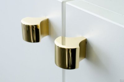 Bouton de meuble Plume 28 Laiton Poli Non Verni