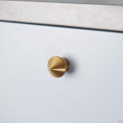 Bouton de meuble Lysekil 30 doré brossé (2 pièces)