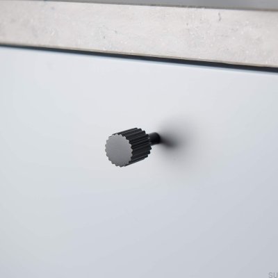 Bouton de meuble en métal Smögen 20 noir mat (2 pièces)