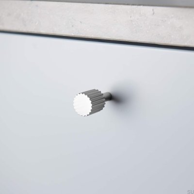 Bouton de meuble argenté Smögen 20 (2 pièces)