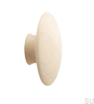 mushroom brzoza.png