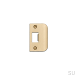 Strike_Plate_D_Plate_Brass_web-scaled.jpg