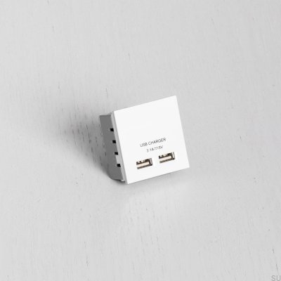 Module de prises USB doubles pour plaque européenne blanche, norme britannique
