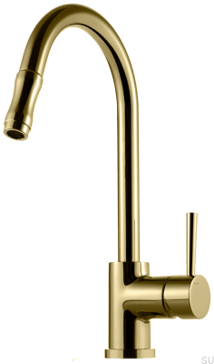 Robinet de cuisine avec bec extractible EVO185, Honey Gold Brass