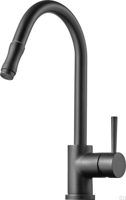Robinet de cuisine avec bec extractible EVO185, Laiton Graphite