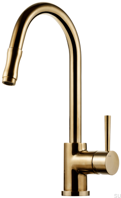 Robinet de cuisine avec bec extractible EVO185, laiton poli, non peint