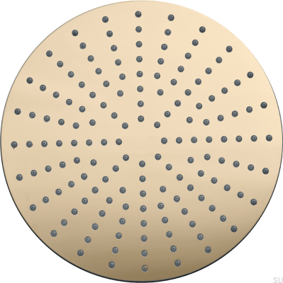 Pommeau de douche, douche à effet pluie ronde 250 ZSOF250, laiton poli, non peint