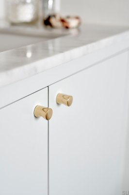 Bouton de meuble Tumbler 21 en laiton doré poli non verni
