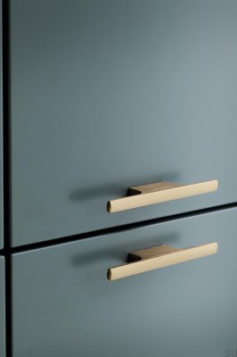 Poignée de meuble oblongue Tau 32, aluminium brossé et doré