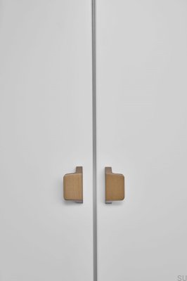 Poignée de meuble oblongue Enveloppe 32, aluminium brossé doré