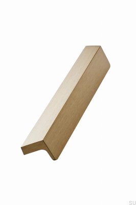 Poignée de meuble oblongue Enveloppe 160, aluminium brossé et doré