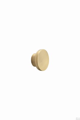 Bouton de meuble en métal Circle 50, couleur or brossé