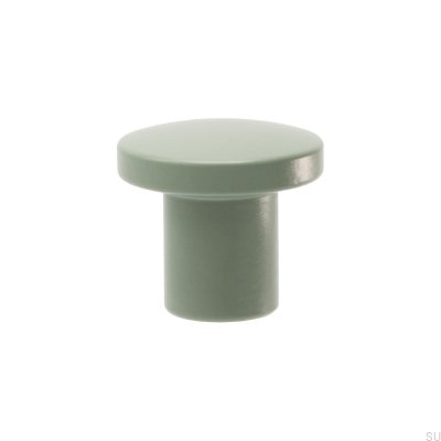 Bouton de meuble Skye 25 Acier Vert