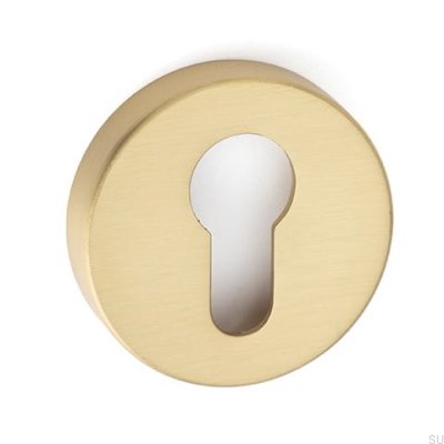 Écusson Helix 200, or brossé