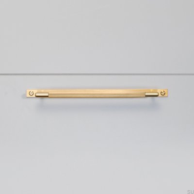 Poignée de meuble allongée en laiton Linear Plate 225 avec rondelle