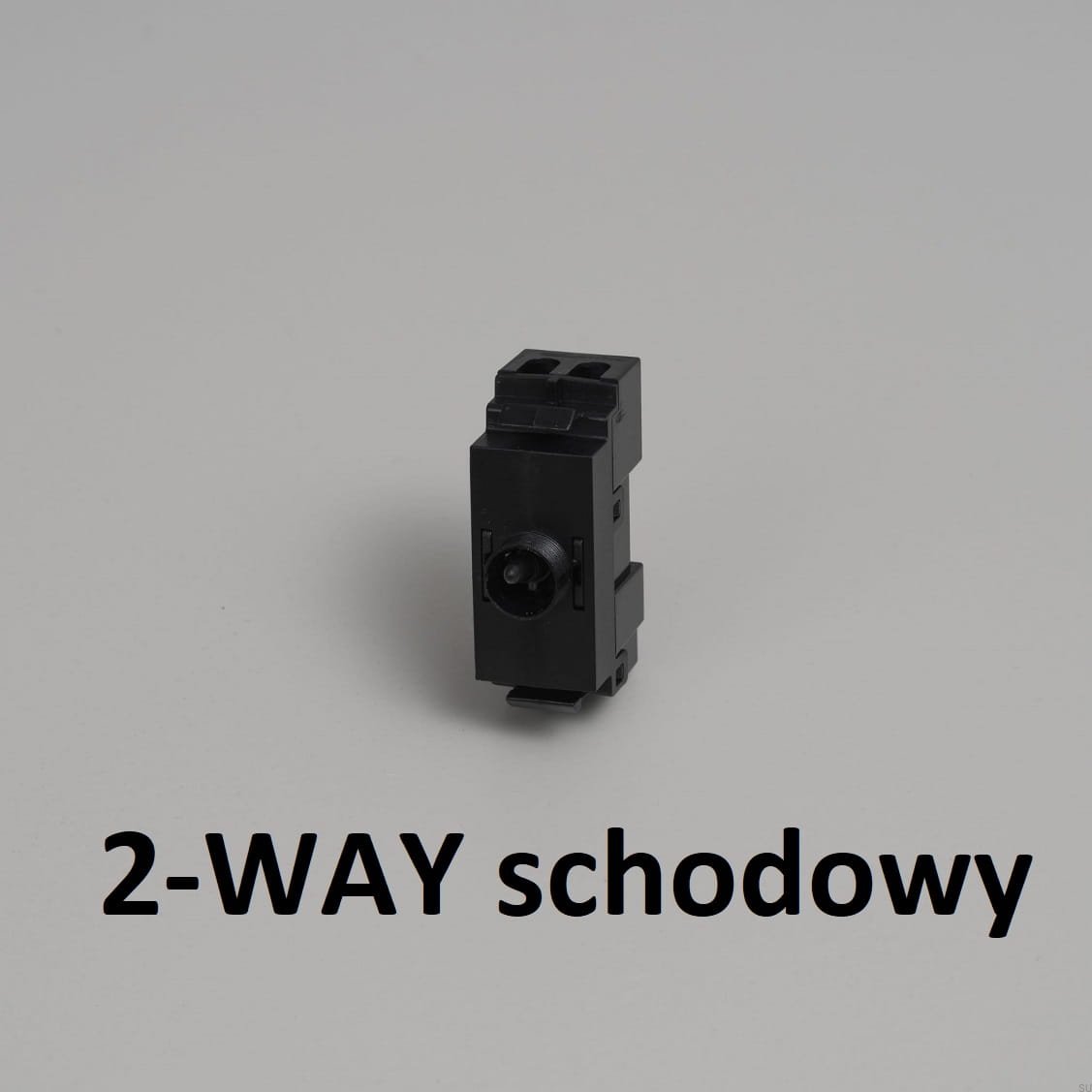 29609.jpg