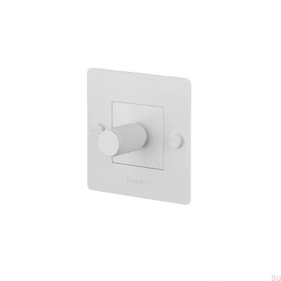Variateur LED en croix 1G 250W, blanc acier, standard européen, avec logo