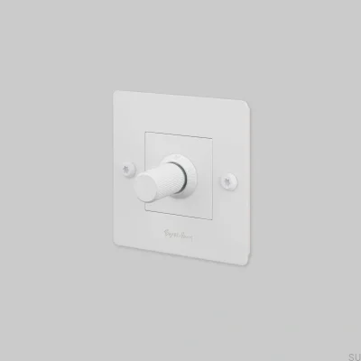 Variateur linéaire LED 1G 120W blanc acier standard européen avec logo
