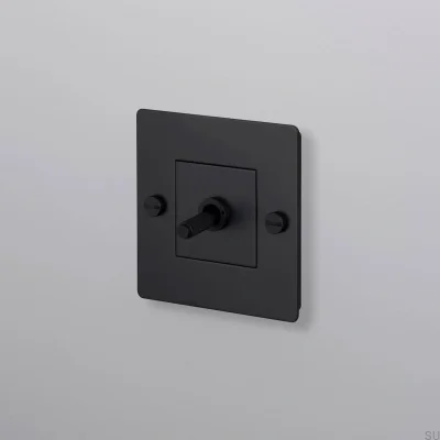 Interrupteur simple sans logo Cross 1G Acier Noir Norme européenne